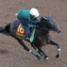【秋華賞】モンローウォークもうやる必要なし
