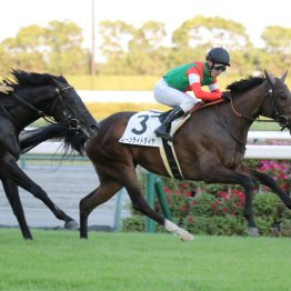 【田中の土曜競馬コラム・京都１２Ｒ・３歳上１勝クラス】