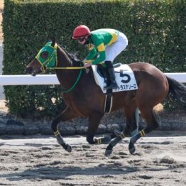 【飯島の土曜競馬コラム・東京７Ｒ】