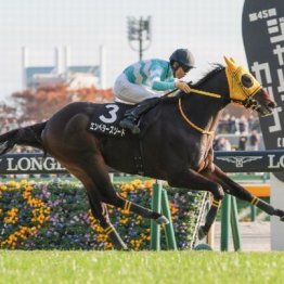 【橘の土曜競馬コラム・富士Ｓ】