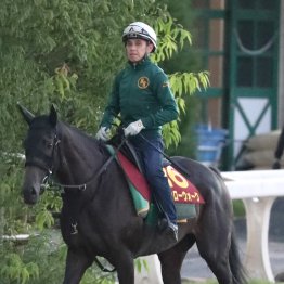 【秋華賞】出走全馬の特選情報