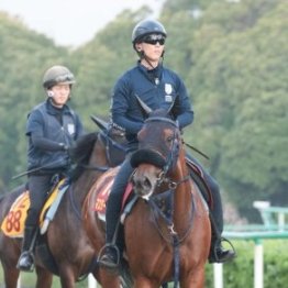 【秋華賞】出走全馬の特選情報