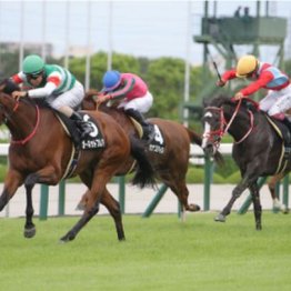 【市川の日曜競馬コラム・秋華賞】