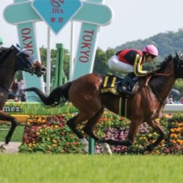 【新居の日曜競馬コラム・秋華賞】