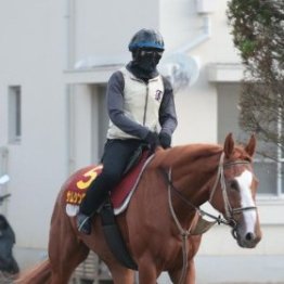 【木津の日曜競馬コラム・秋華賞】