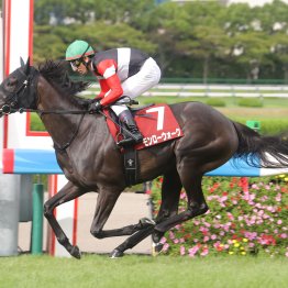 【勝羽の日曜競馬コラム・秋華賞】