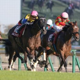 【止まり木ブルース・秋華賞】