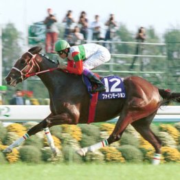 2002年秋華賞覇者ファインモーション