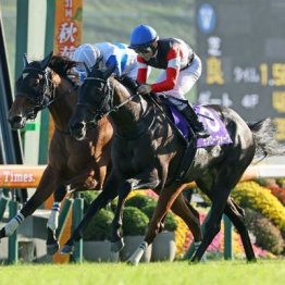 【秋華賞】モンローウォークが圧倒的な人気にこたえ無傷で戴冠