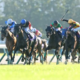 母が豪州血統のモンローウォークはＧⅠの速い流れにも難なく対応