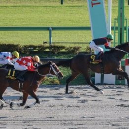 【ブラジルＣ】クールミラボー得意舞台で完勝
