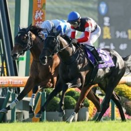【秋華賞】モンローウォーク無敗戴冠　名牝ロードへ注目度高まる次走