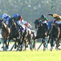 マンハッタンカフェが勝った２００１年菊花賞　実はゴール前でちょっとしたハプニングが……