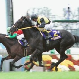 マンハッタンカフェが勝った２００１年菊花賞　実はゴール前でちょっとしたハプニングが……