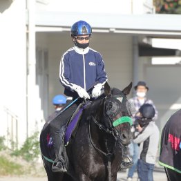 【菊花賞】１週前追い切り後に松山が話したロブチェン 「プレッシャーはあって当たり前だと」