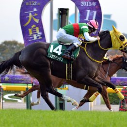 【アルテミスＳ】ラッキーカラーは〝ピンク〟８枠が狙い目！