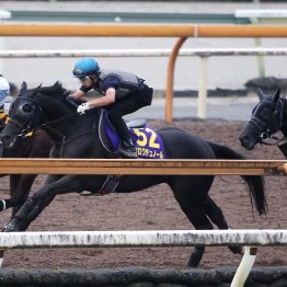 【天皇賞・秋１週前】クロワデュノール順調