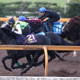 【菊花賞】ロブチェン凄い！　折り合いピタリで楽々１Ｆ１１秒１