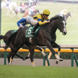 【アルテミスＳ】２歳重賞の中でも際立つクラブ馬の強さ