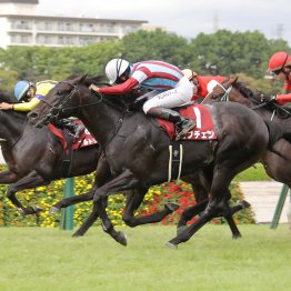【菊花賞】人気２頭の強みと弱みを徹底分析