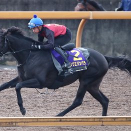 【菊花賞】アスクエジンバラ一発ムード
