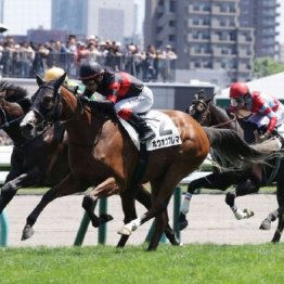 【新居の土曜競馬コラム・アルテミスＳ】