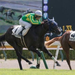 【大谷の土曜競馬コラム・アルテミスＳ】