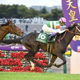 【武田の土曜競馬コラム・アルテミスＳ】