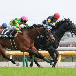 【新潟本紙・市川の土曜新潟11Ｒ】