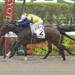 【大阪本紙・弘中の土曜京都12Ｒ】