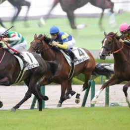 【東京本紙・外山のアルテミスS】