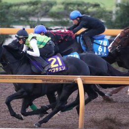 【木津の日曜競馬コラム・菊花賞】
