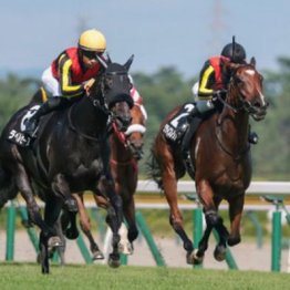 【東京本紙・外山の日曜東京10Ｒ】