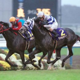 ２００２年菊花賞馬ヒシミラクル