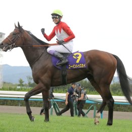 スカイメテオ早逝した父マテラスカイを彷彿とさせる２歳レコード勝ち