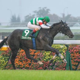 スカイメテオ早逝した父マテラスカイを彷彿とさせる２歳レコード勝ち