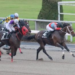 【神無月Ｓ】ベルジュロネットがオープン２勝目