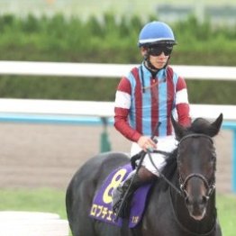 【菊花賞】ロブチェン⑭着に大敗した複合的理由