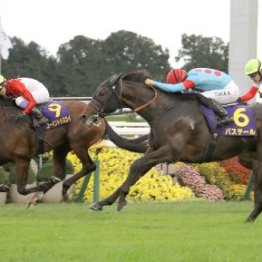 【菊花賞】ゴーイントゥスカイ逆転戴冠　ここ一番で光った武豊の教科書のような乗り方