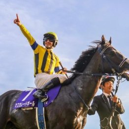 【天皇賞・秋】クロワデュノール、マスカレードボールが５度目の対決