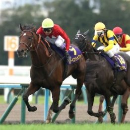 菊花賞であらためて感じたユタカさんの凄さ