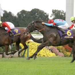 大逃げ馬以外は例年並みの数字だった菊花賞