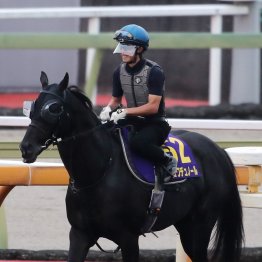 【天皇賞・秋】クロワデュノール主役は譲らない