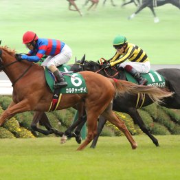 【ファンタジーＳ】１戦１勝馬を狙い撃て