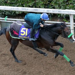 【天皇賞・秋】調教マル得チェック②