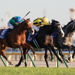 【天皇賞・秋】人気２頭クロワデュノール、マスカレードボールに気になるデータ