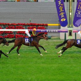 【天皇賞・秋】データ作戦　ヒモ荒れに要注意