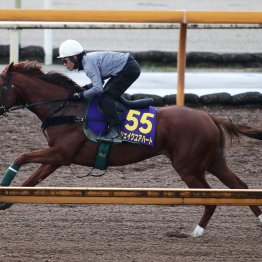 【天皇賞・秋】たたき上げシェイクユアハート大仕事