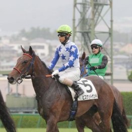 【市川の土曜競馬コラム・ファンタジーＳ】