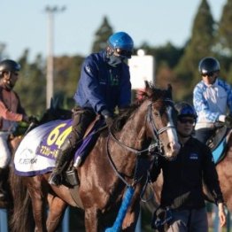 【天皇賞】出走全馬の特選情報